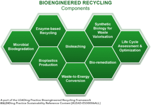 Bioengineered Recycling - 8 Main Components