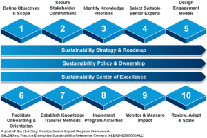 Senior Expert Program - Roadmap