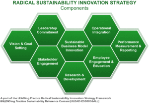 Radical Sustainability Innovation Strategy - 8 Main Components