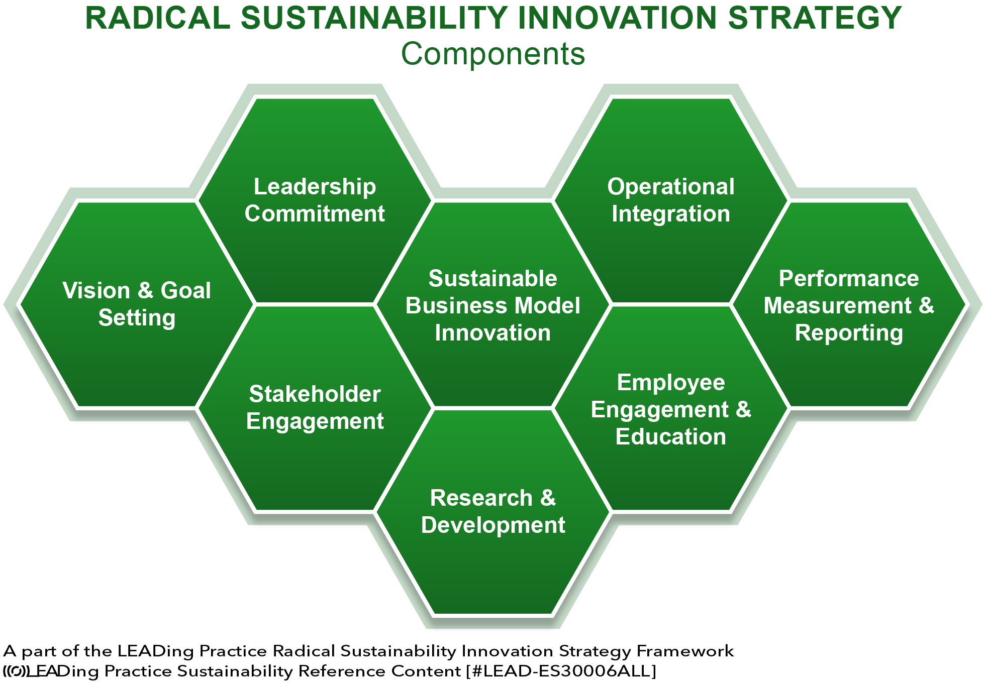 Radical Sustainability Innovation Strategy - 8 Main Components